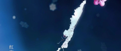 今日大雪：如果下雪了，你会做什么？