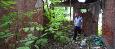 31年前的命案，破了！