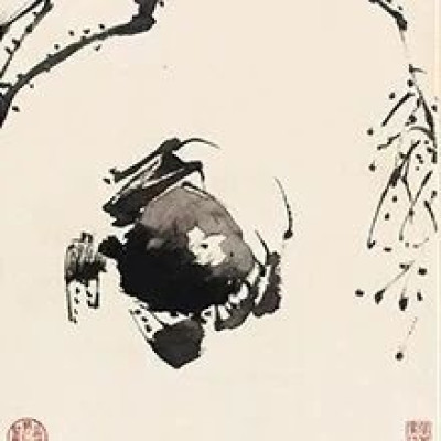 泼墨大写意的画，有多惊艳？