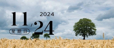 人性可以有多复杂