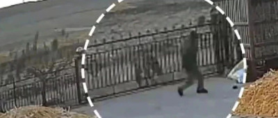 老虎进村咬伤村民，最新通报→