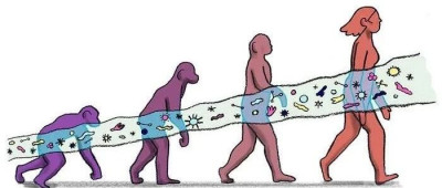 大脑变大，肠道微生物功不可没；刺激这里可以让脊髓损伤患者恢复部分行走能力 | 环球科学要闻