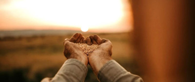 品读 | 耄耋母亲忆往昔