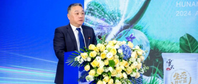 湖南盐业：守护绿色发展底色 打造生态盐业品牌