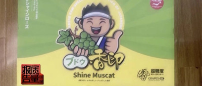 国产葡萄如何被包装成“日本阳光玫瑰”价格翻几倍 记者调查→