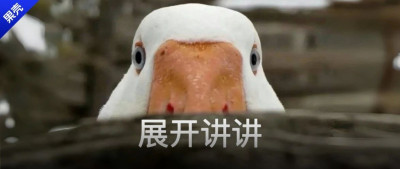 为什么熊孩子的羽绒服越来越便宜？