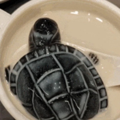 大学食堂的菜能有多邪门？