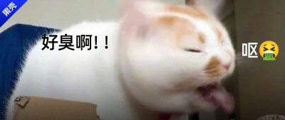 太臭了！这个部位比你想的脏，很多人从来没洗干净过