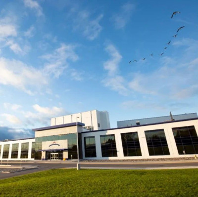 中国奶粉何以“反向出海”？