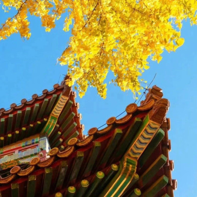 90%的人可能不知道的故宫秘密，这本书全部告诉你！