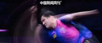 樊振东、陈梦为何“杠上”WTT？