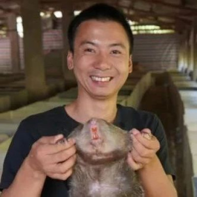 华农兄弟的竹鼠回归，为什么让百万网友泪目？