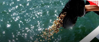 中国式民间“放生”，越来越奇葩了