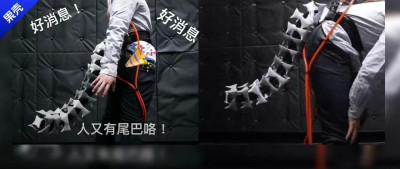 人类好不容易进化掉的尾巴，又被科学家装上了！这尾巴是非装不可吗？