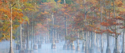 老胡的周刊（第164期）