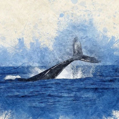 深海传来神秘的声音，科学家花了10年终于破解