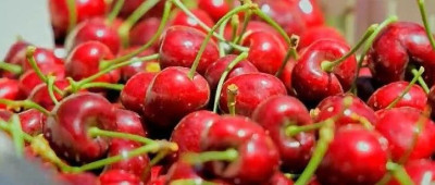 车厘子，价格“打”下来了！