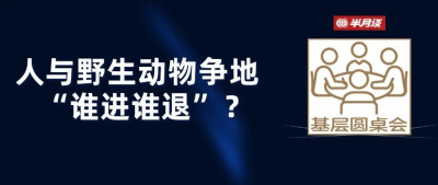野生动物频繁伤人，背后这些问题不容忽视！