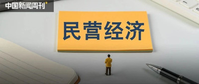 杨瑞龙：民营经济发展不仅需要环境，还需要空间