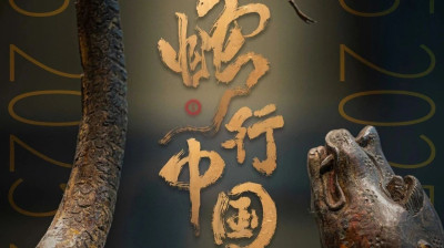 注意了注意了，今天征集虫它！