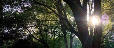 “艾滋夫妇”确诊感染后的第20年