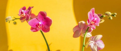 品读 | 放一把钥匙在你这里