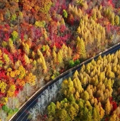 今日霜降，秋天的最后一个节气来了！