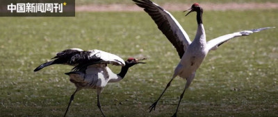 原来，你这么“渣”