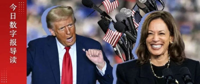 美国大选，迎来最后揭晓时刻