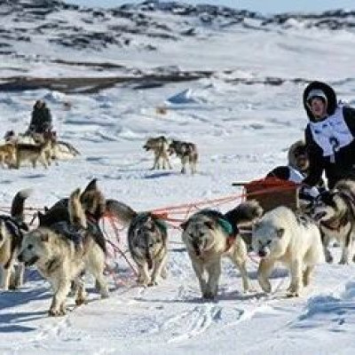 加拿大政府正式道歉