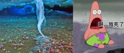 恐怖的死亡冰指！从上而下冻结，冻死所有途经的动物，对人类有威胁吗？