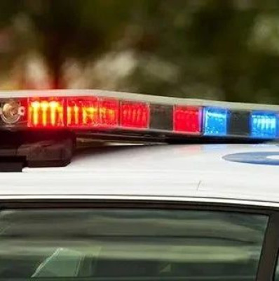 男明星粉丝涉嫌伪造“人民网文章”，警方通报