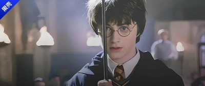 魔法幻灭，哈利·波特终生瘫痪