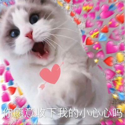 被这玩意拿捏得死死的，幸福到眩晕~