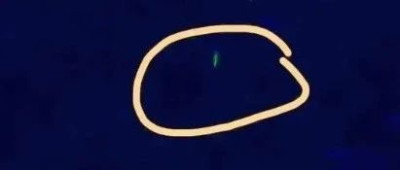 “天上飞过一根‘葱’”？真相是……