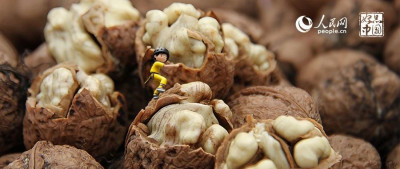 别盘我，没结果🤗