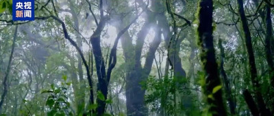 主播说联播 | 面对泼天流量，哀牢山为何开启“劝退”模式？