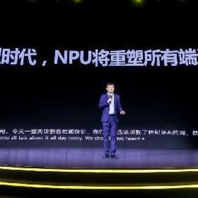 「后摩智能」倪晓林：未来十年是属于大模型的时代，NPU会重塑所有端边场景丨WISE2024 商业之王大会