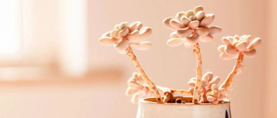 品读 | 在儿子家住了一星期