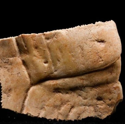 陕西，又有考古新发现！