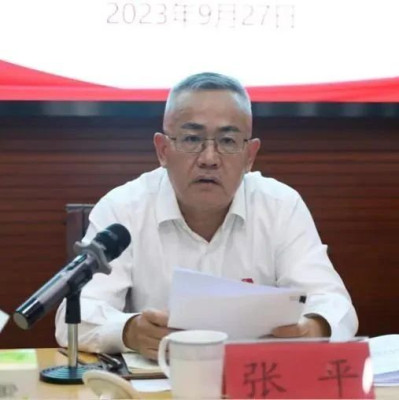 张平，被“双开”