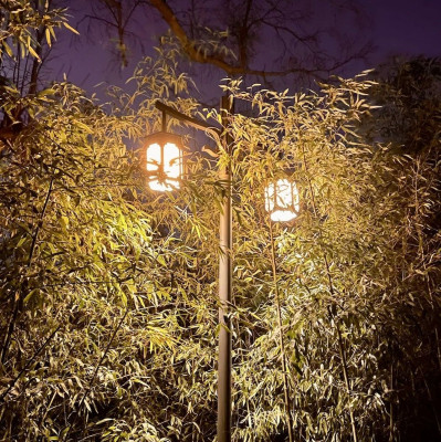 北京的路灯下，树叶正在变硬，影响可能超出你的想象