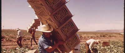 新研究警告：35岁以下人群更易死于高温；世卫组织：引发刚果（金）疫情的可能是已知病原体 | 环球科学要闻