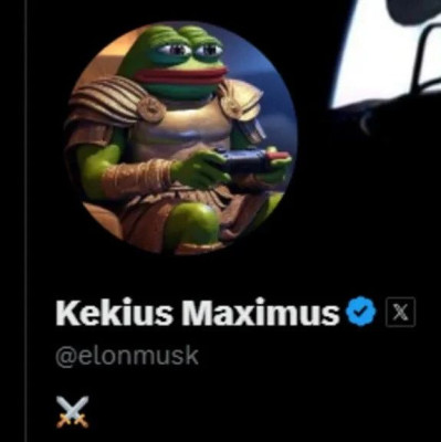 马斯克改“神秘”昵称，引发猜测