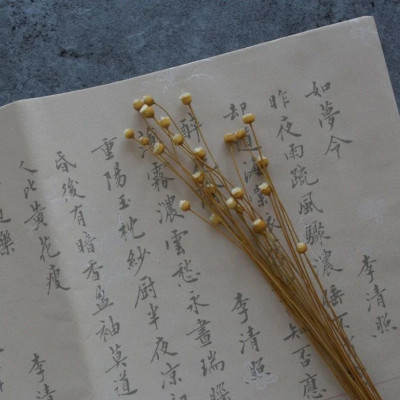 你读过，最解压的一句诗是？