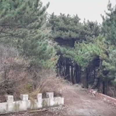 北京已有区域飘雪，今年初雪来了吗？官方解答