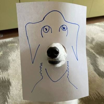 七言 | 别偷看朋友圈