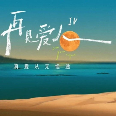 作为一面镜子，《再见爱人4》的