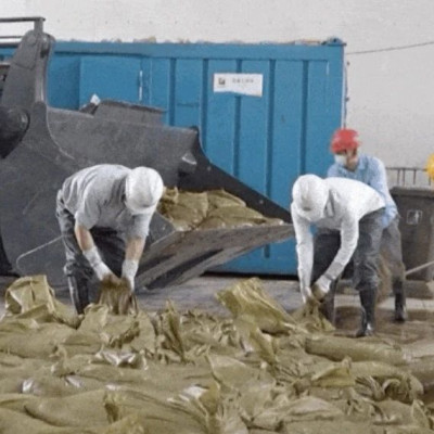 已抓21万斤！发电厂遭海蜇“大规模入侵”