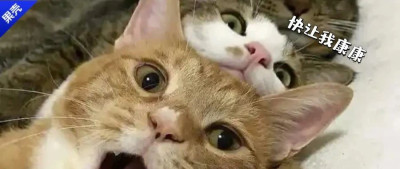 除了水产市场，哪里钓鱼成功率最高？